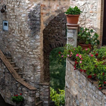 Il Tripode - Le Dimore Del Bordone Vallo di Nera Экстерьер фото